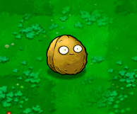 植物大战僵尸年度版