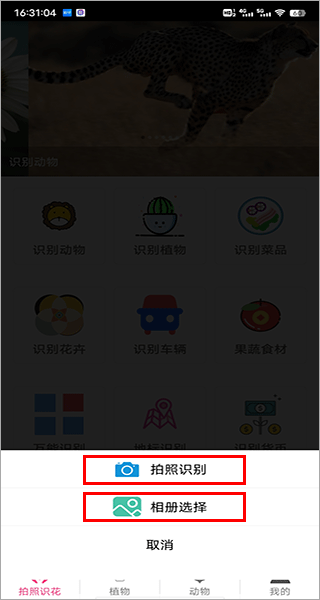 拍照识花神器