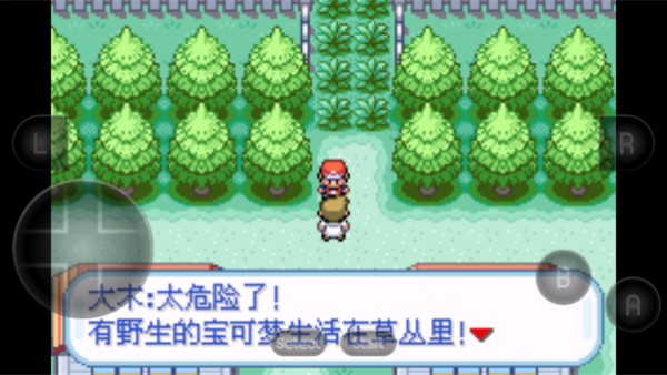 口袋妖怪模拟器截图2