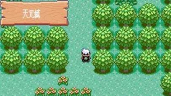 口袋妖怪模拟器截图4