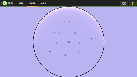 细胞实验室汉化版