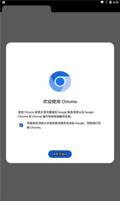 Chromium浏览器截图1