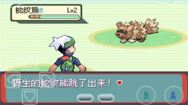 GBA宠物小精灵绿宝石截图3