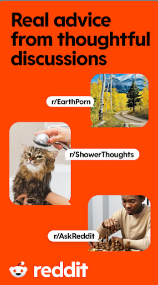 Reddit截图3
