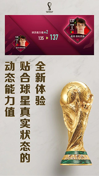 FIFA世界杯截图1