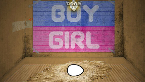 养只宠物球手机版游戏