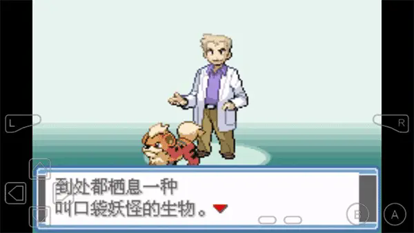 口袋妖怪永恒之焱xyz截图3