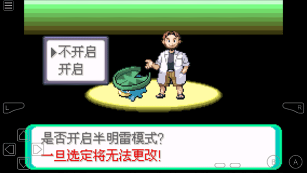 口袋妖怪绿宝石493截图3