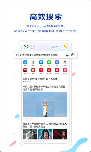 VIVO浏览器旧版本截图1