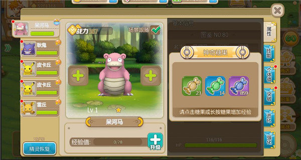 口袋妖怪xy汉化版