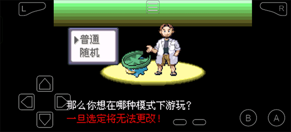 口袋妖怪绿宝石493