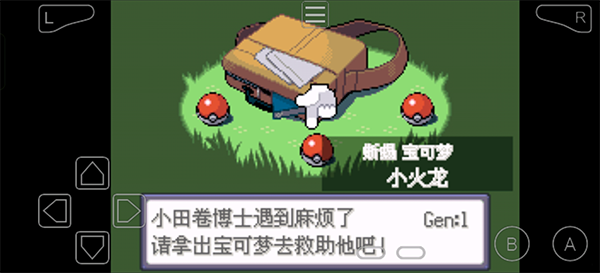 口袋妖怪绿宝石493