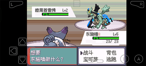 口袋妖怪绿宝石493