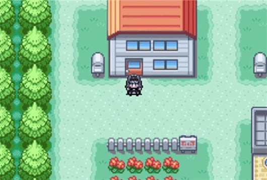 口袋妖怪火红版截图2