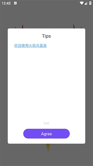 火焰鸟v4直装版