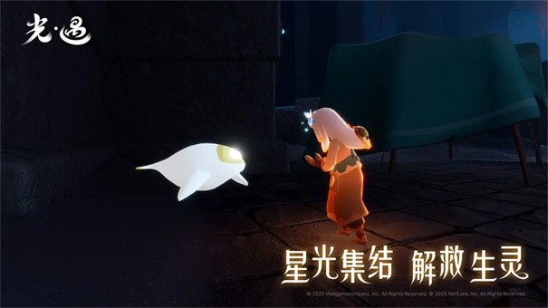 Sky光遇测试服截图1