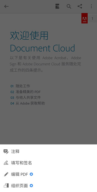 Adobe Acrobat