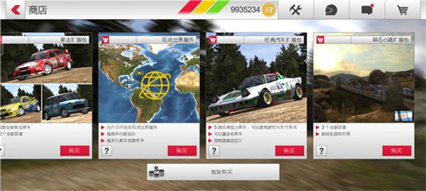 拉力赛车3截图2