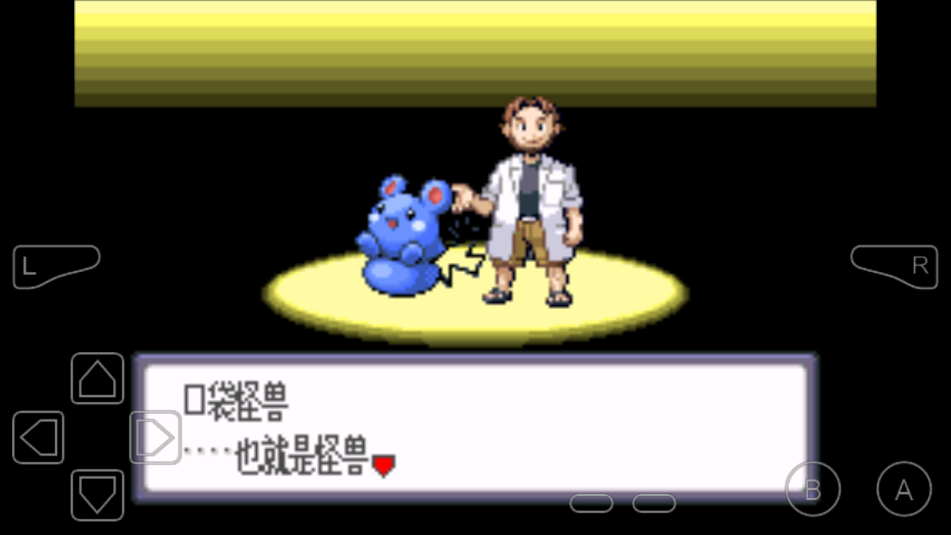 口袋妖怪红宝石截图3