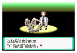 口袋妖怪漆黑的魅影