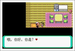 口袋妖怪漆黑的魅影