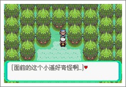 口袋妖怪漆黑的魅影