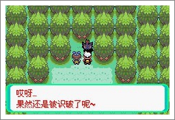 口袋妖怪漆黑的魅影