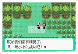 口袋妖怪漆黑的魅影