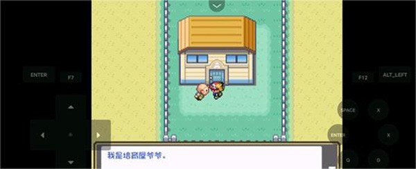 口袋妖怪燃之智截图0