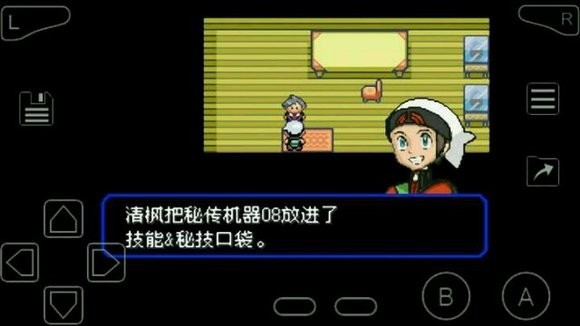 口袋妖怪绿宝石随机版截图1