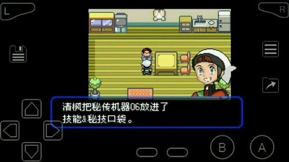 口袋妖怪绿宝石随机版截图3