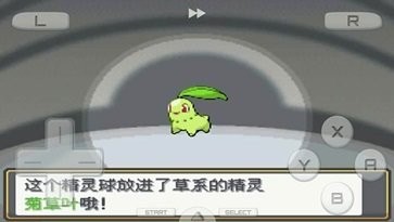 口袋妖怪心金魂银汉化版截图1