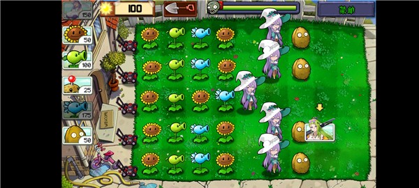 庄不纯植物娘大战僵尸截图1