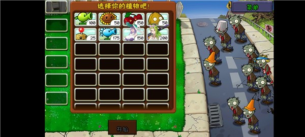 庄不纯植物娘大战僵尸截图4