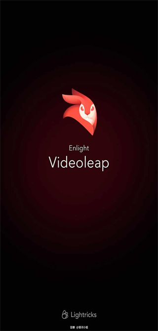 VideoLeap