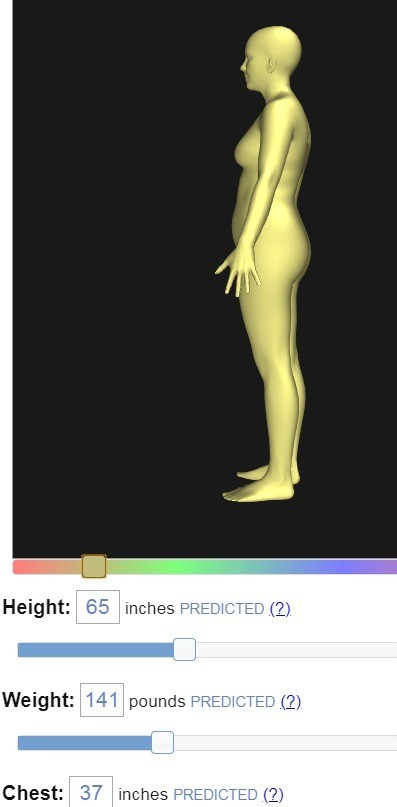bodyvisualizer身材模拟器截图1