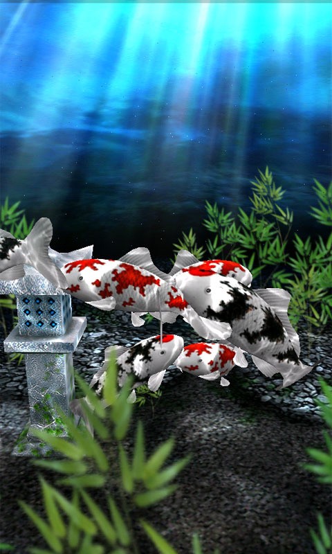 水族馆动态壁纸截图3