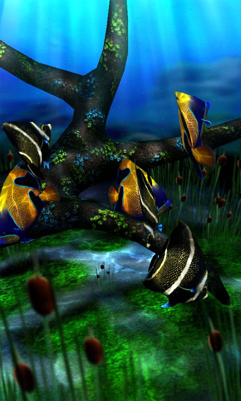 水族馆动态壁纸截图4