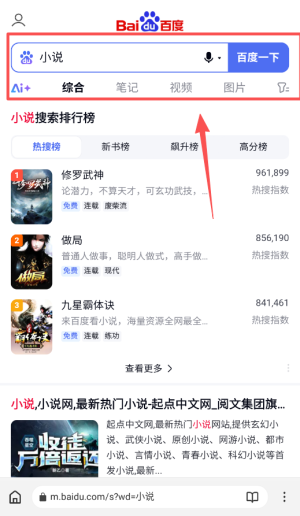 石头阅读浏览器