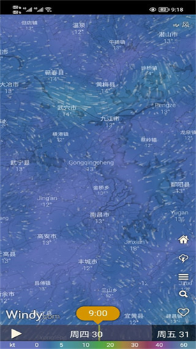 Windy卫星云图
