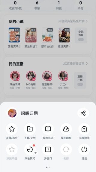 uc浏览器手机版