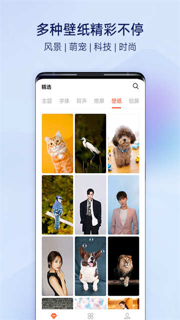 91熊猫桌面截图2