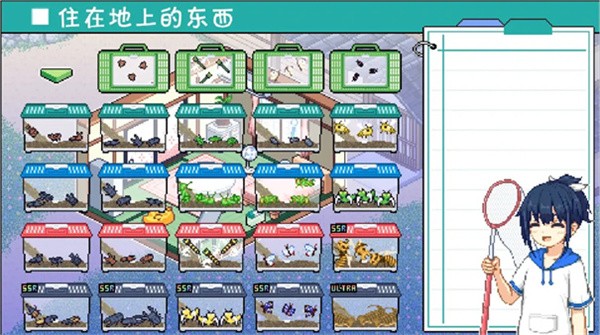 寻找夏日的宝物汉化版截图2