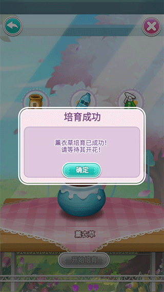 玫瑰小镇