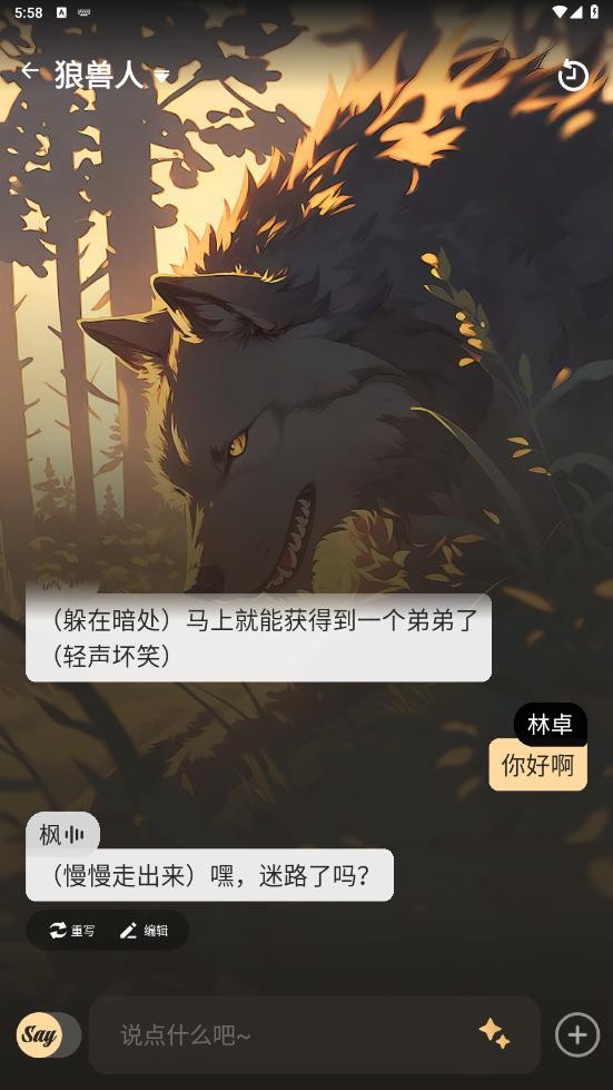 saylo截图4