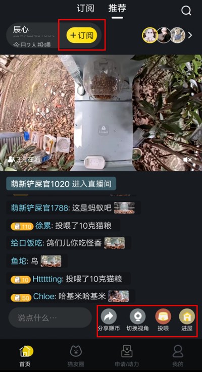猫咪社区