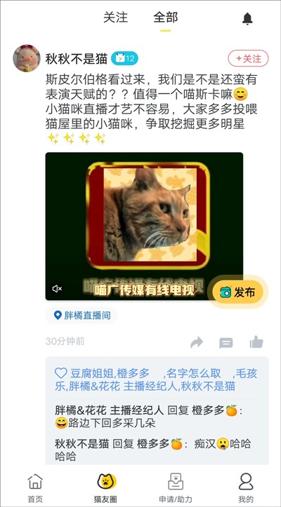 猫咪社区