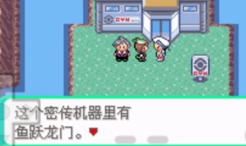 口袋妖怪白金光精装版