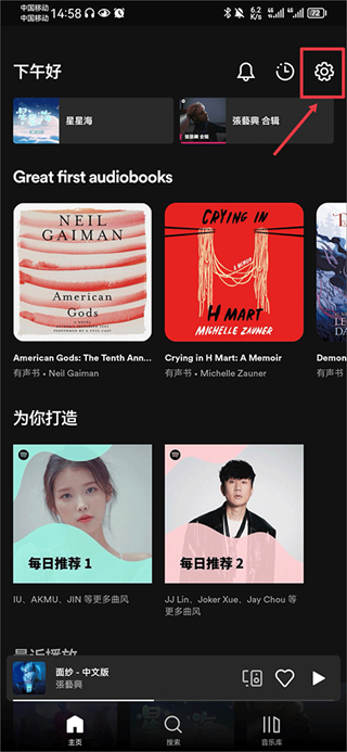 Spotify tv版