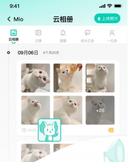 兽兽日记